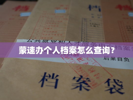 蒙速办个人档案怎么查询？