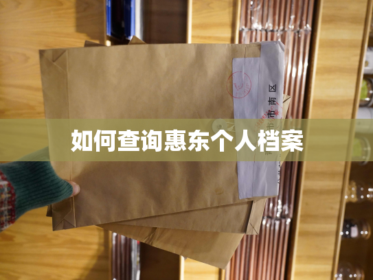 如何查询惠东个人档案