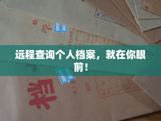 远程查询个人档案，就在你眼前！