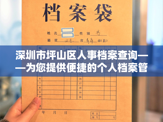 深圳市坪山区人事档案查询——为您提供便捷的个人档案管理服务