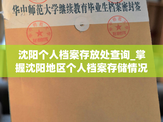 沈阳个人档案存放处查询_掌握沈阳地区个人档案存储情况的方法