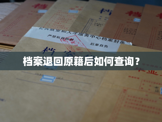 档案退回原籍后如何查询？