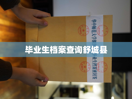毕业生档案查询舒城县