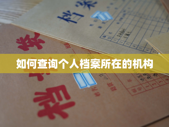 如何查询个人档案所在的机构