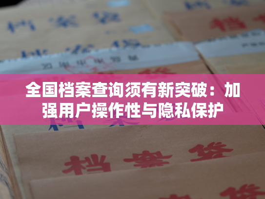 全国档案查询须有新突破：加强用户操作性与隐私保护