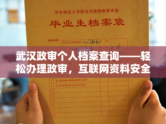 武汉政审个人档案查询——轻松办理政审，互联网资料安全可靠