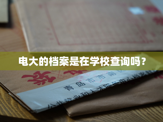 电大的档案是在学校查询吗？