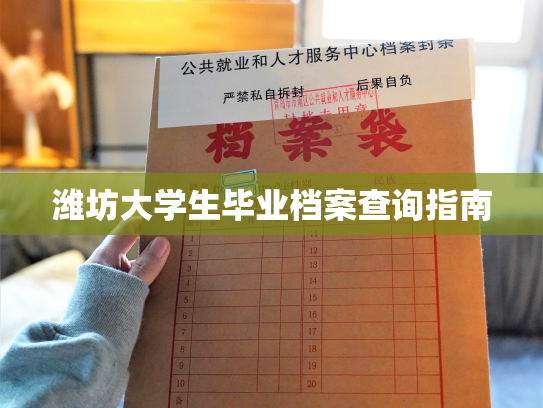 潍坊大学生毕业档案查询指南