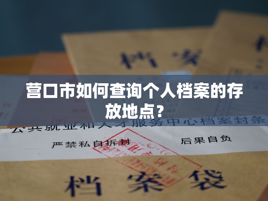 营口市如何查询个人档案的存放地点？
