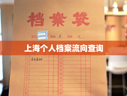 上海个人档案流向查询
