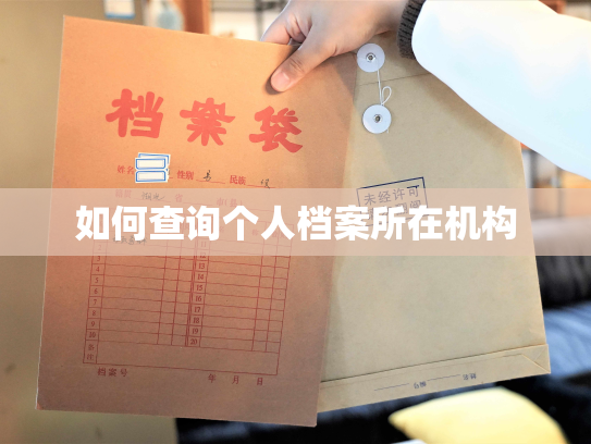 如何查询个人档案所在机构