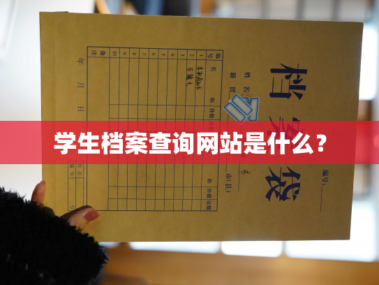 学生档案查询网站是什么？
