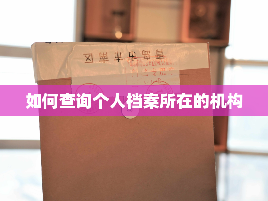 如何查询个人档案所在的机构