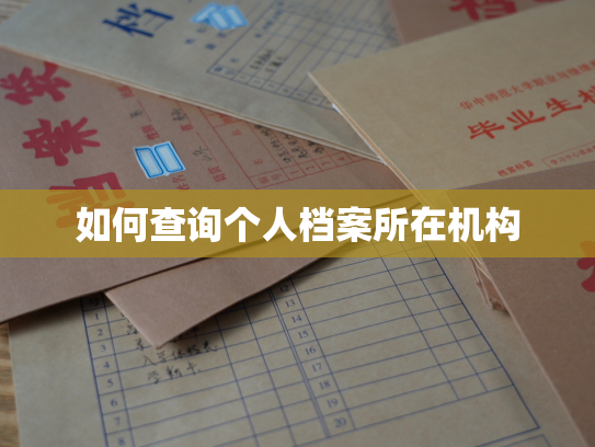 如何查询个人档案所在机构