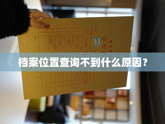 档案位置查询不到什么原因？
