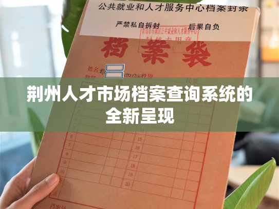 荆州人才市场档案查询系统的全新呈现