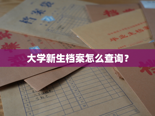 大学新生档案怎么查询？