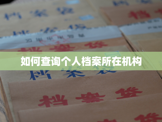 如何查询个人档案所在机构