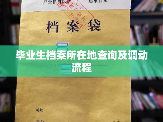 毕业生档案所在地查询及调动流程