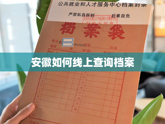 安徽如何线上查询档案