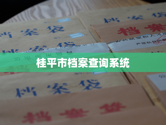 桂平市档案查询系统