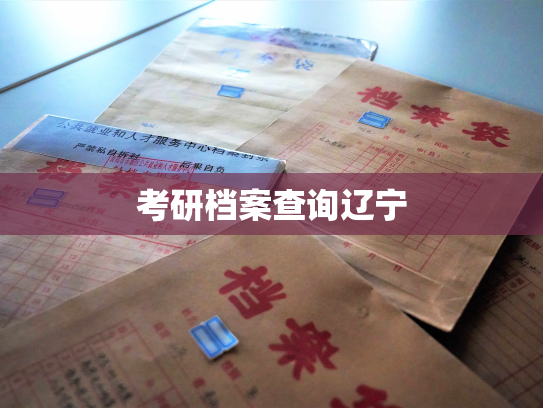 考研档案查询辽宁