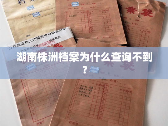 湖南株洲档案为什么查询不到？