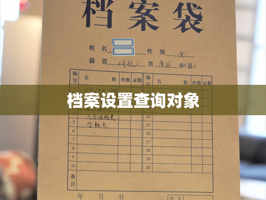 档案设置查询对象