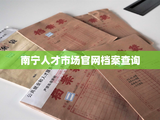南宁人才市场官网档案查询