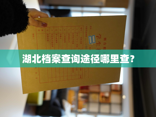 湖北档案查询途径哪里查？
