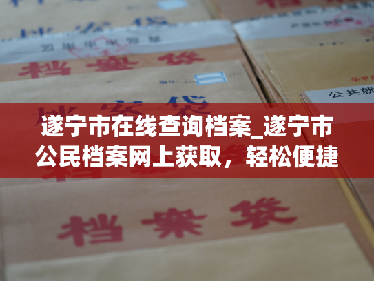 遂宁市在线查询档案_遂宁市公民档案网上获取，轻松便捷