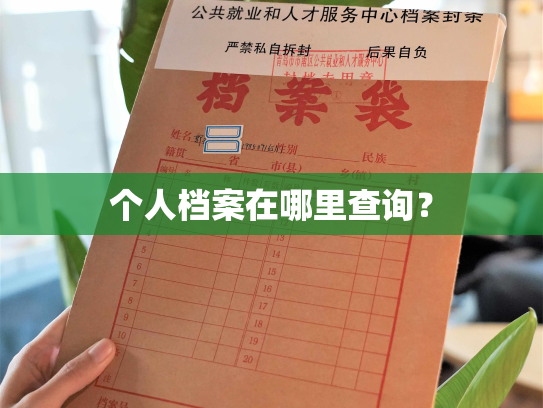 个人档案在哪里查询？