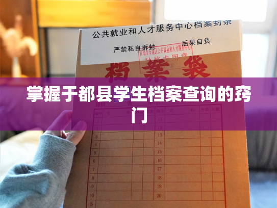 掌握于都县学生档案查询的窍门