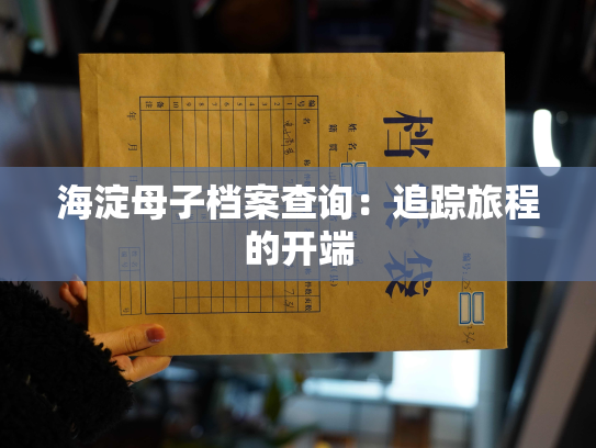 海淀母子档案查询：追踪旅程的开端
