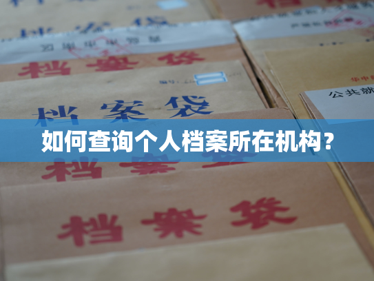 如何查询个人档案所在机构？