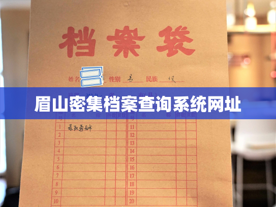 眉山密集档案查询系统网址
