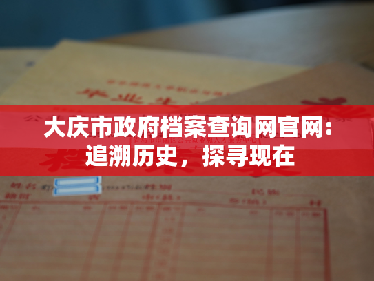 大庆市政府档案查询网官网: 追溯历史，探寻现在
