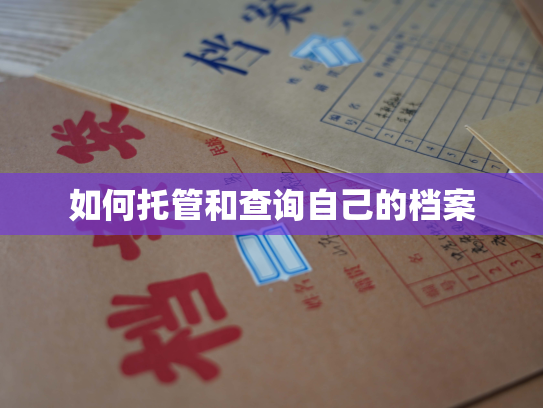 如何托管和查询自己的档案