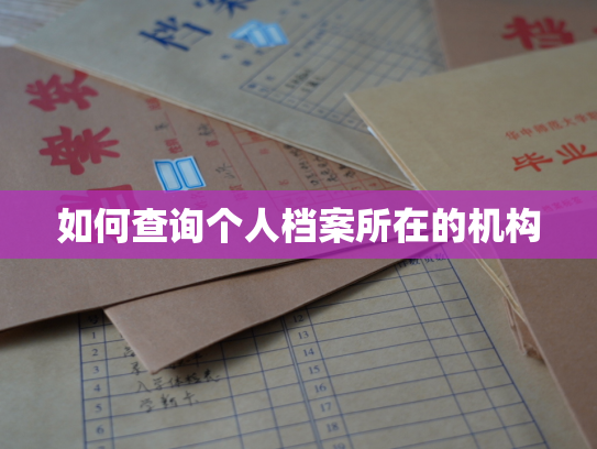 如何查询个人档案所在的机构