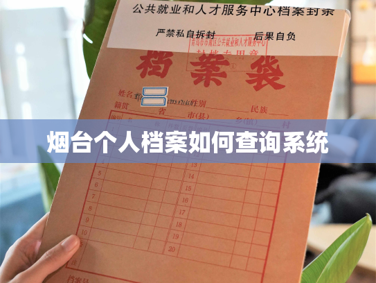 烟台个人档案如何查询系统