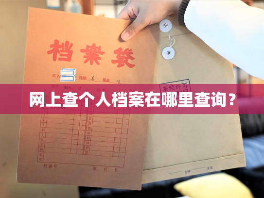 网上查个人档案在哪里查询？
