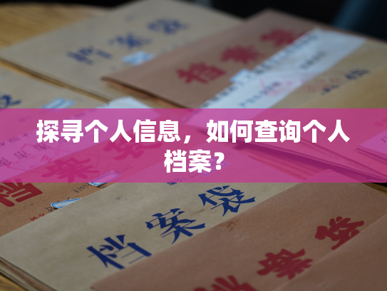 探寻个人信息，如何查询个人档案？