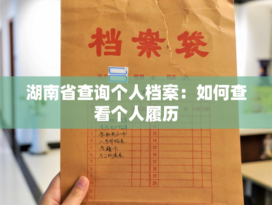 湖南省查询个人档案：如何查看个人履历