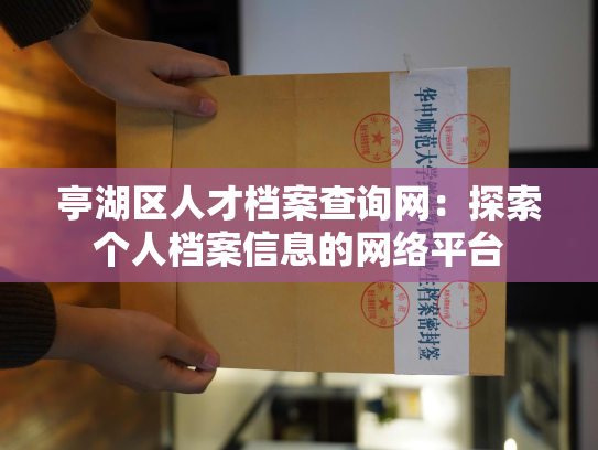 亭湖区人才档案查询网：探索个人档案信息的网络平台