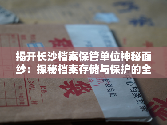 揭开长沙档案保管单位神秘面纱：探秘档案存储与保护的全过程