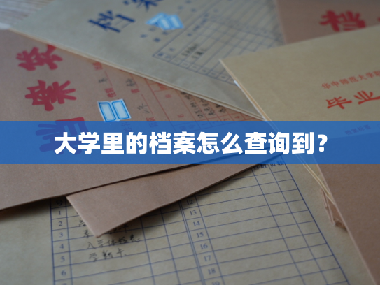 大学里的档案怎么查询到？