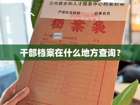干部档案在什么地方查询？