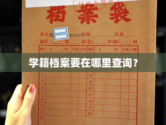 学籍档案要在哪里查询？