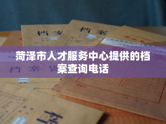 菏泽市人才服务中心提供的档案查询电话