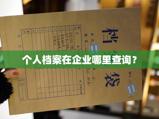 个人档案在企业哪里查询？